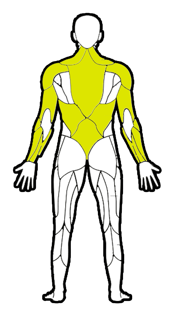 upper-back
