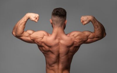 How to Build Muscle Weightlifting